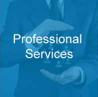 professional-services